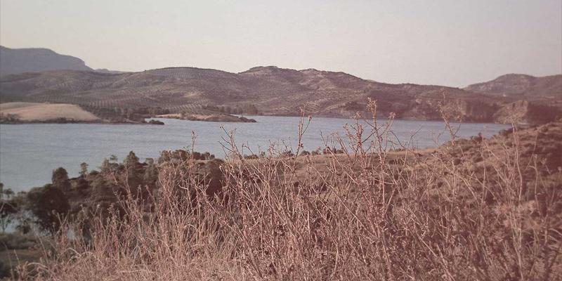 揭秘瑞福航电商小包专线：高密度集货与极速清关的运营内幕