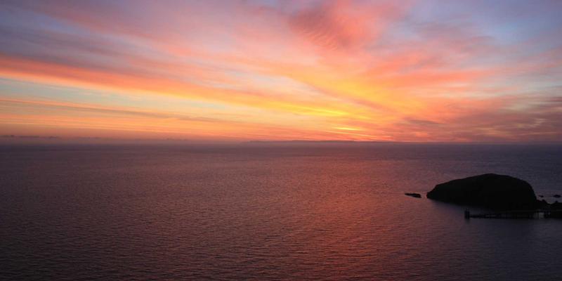 瑞福航冷链物流解决方案：如何为全球温敏货物打造无缝品质屏障