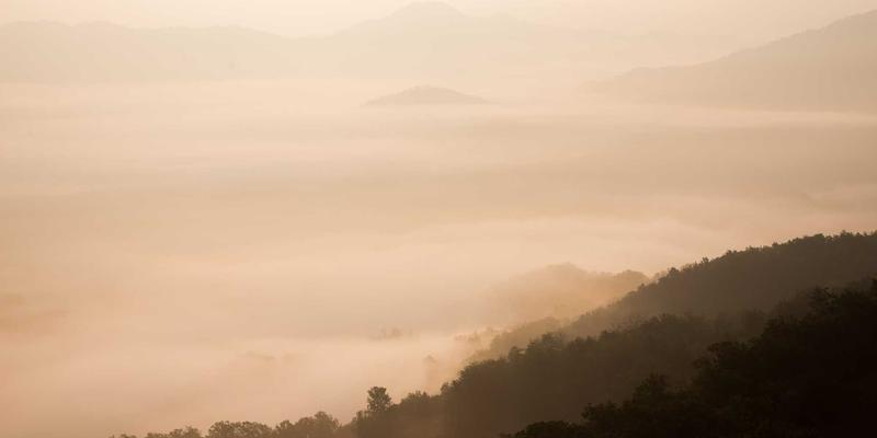 瑞福航如何通过燃油效率管理与绿色航空货运，重塑可持续供应链竞争力