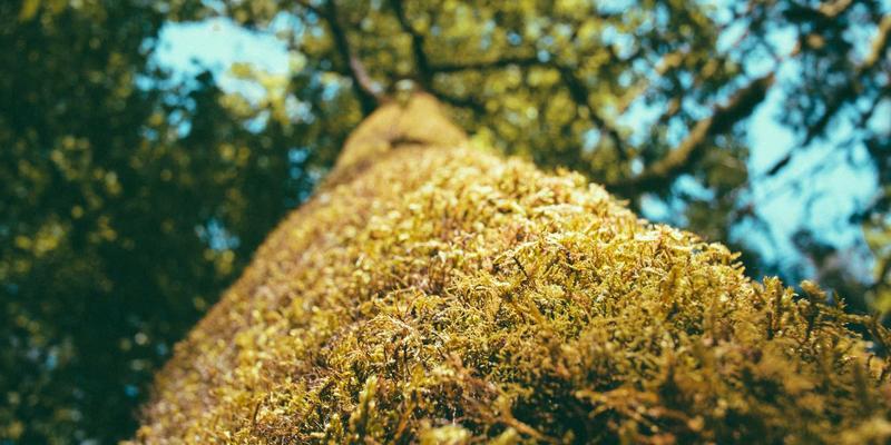 瑞福航超大件货物门到门全攻略:破解装卸、清关与最后一公里交付难题